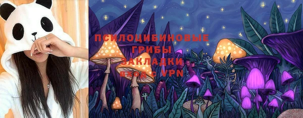 МДПВ Белокуриха