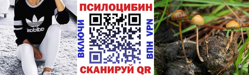 Галлюциногенные грибы ЛСД  Зима 