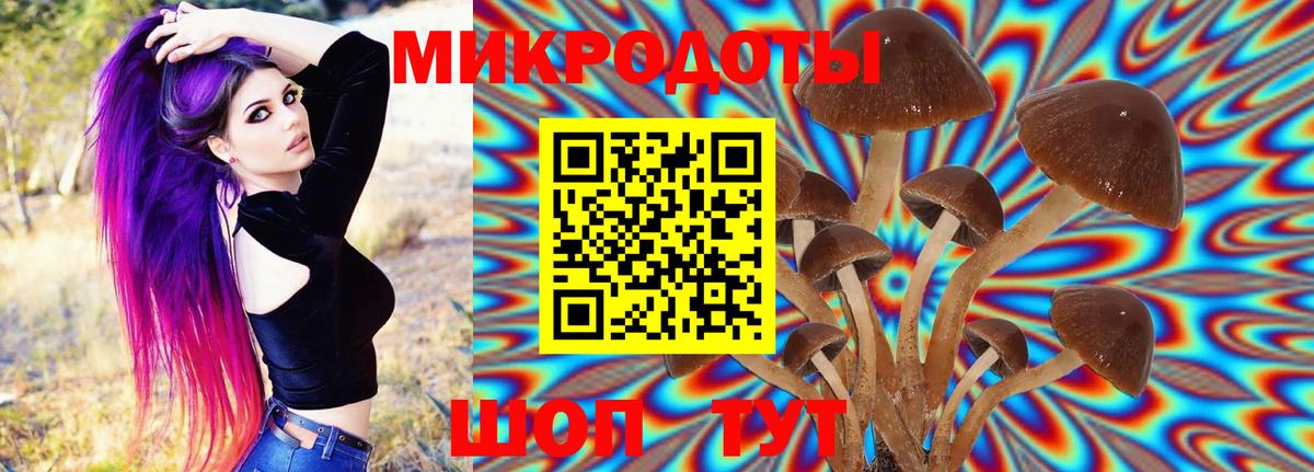 Зима  даркнет сайт  Вход с VPN  Галлюциногенные грибы Magic Shrooms 