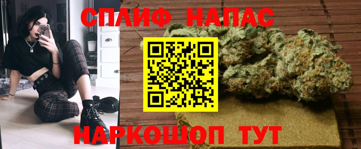Бошки Шишки ГИДРОПОН  Вход с VPN  Зима  Бошки Шишки сатива 